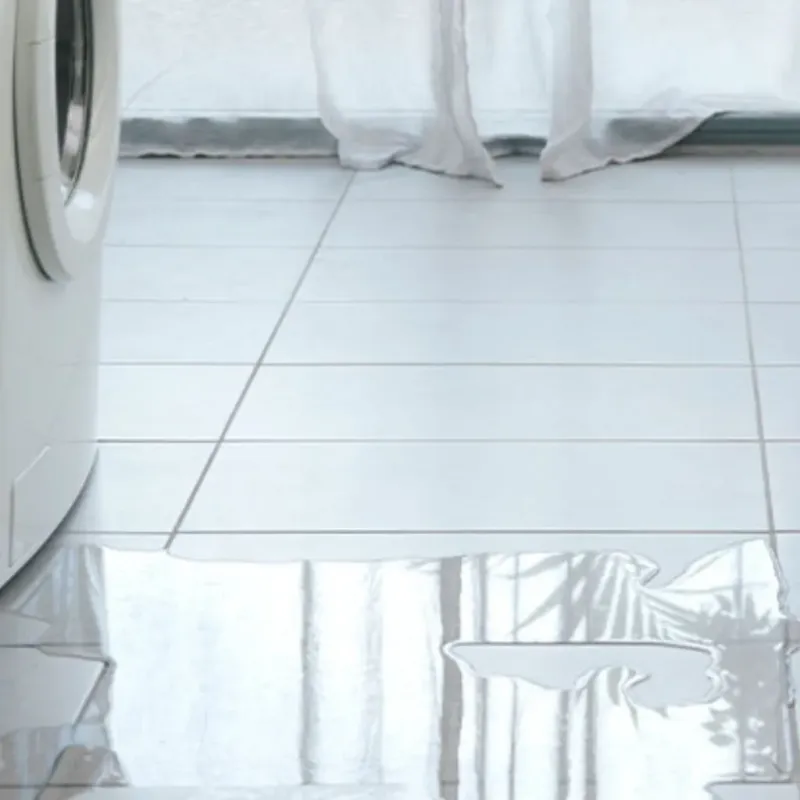 Appliance Leak Cleanup in Northdale, FL