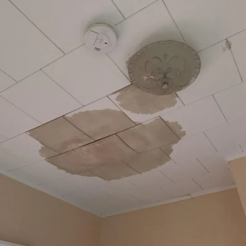 Ceiling Water Damage Repair in Northdale, FL